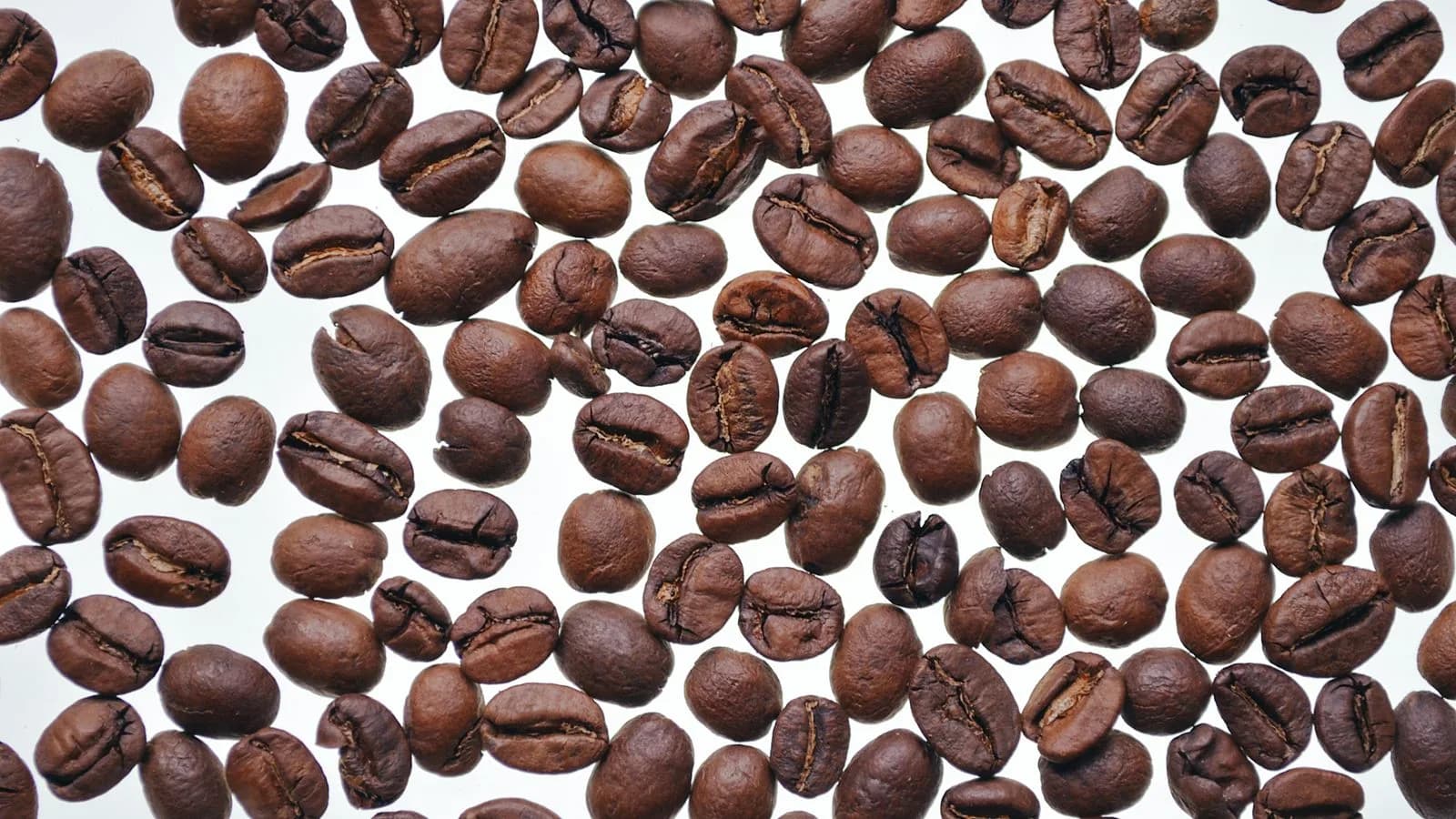 Roasted coffee beans on a white surface