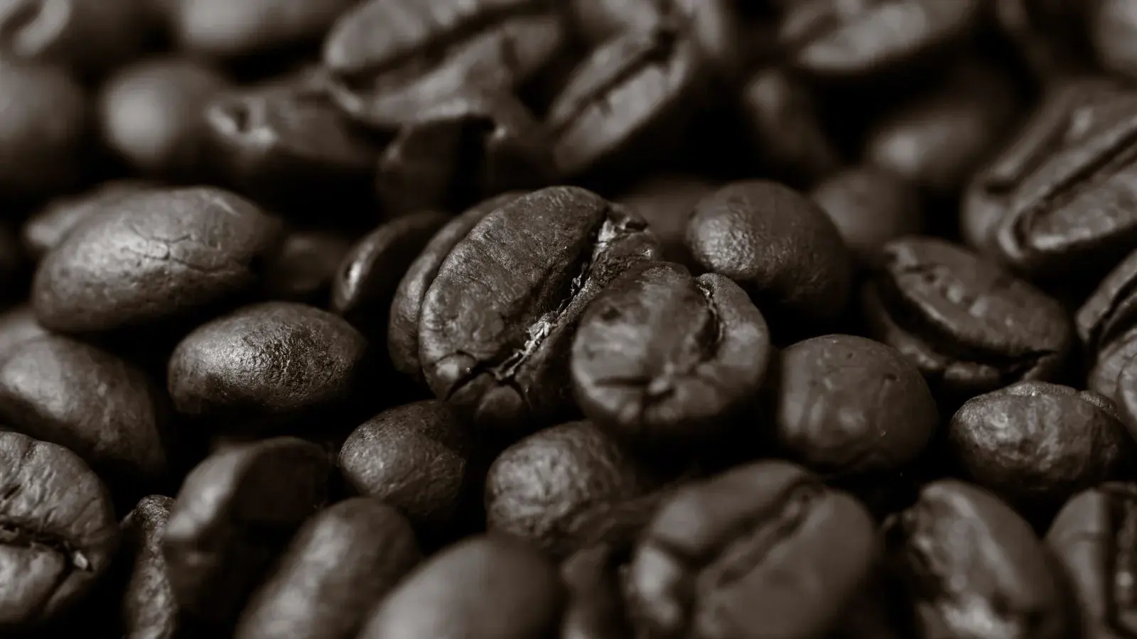 Photo by Mitchell Henderson on Pexels A close view of roasted coffee beans