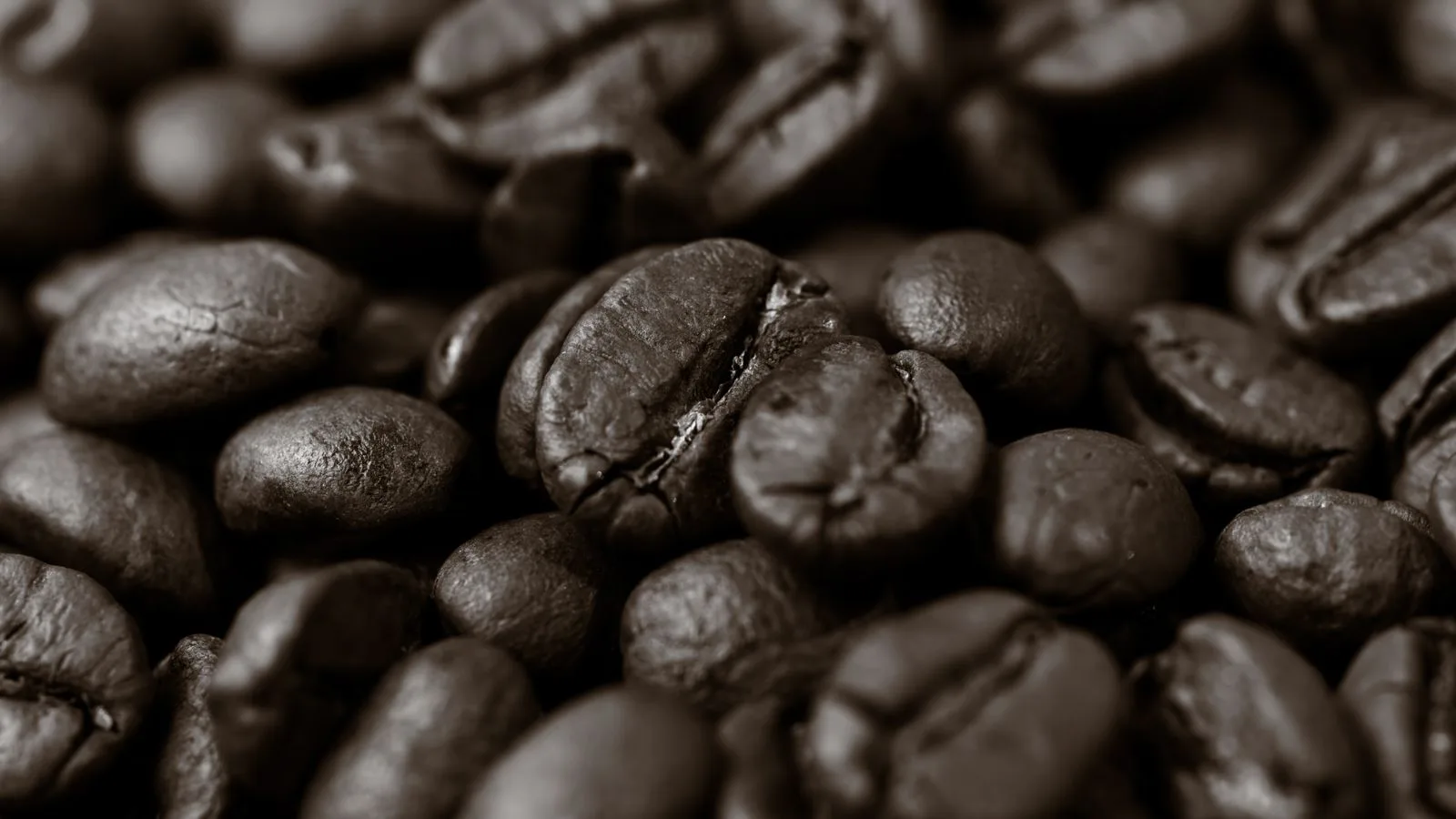 A close view of roasted coffee beans