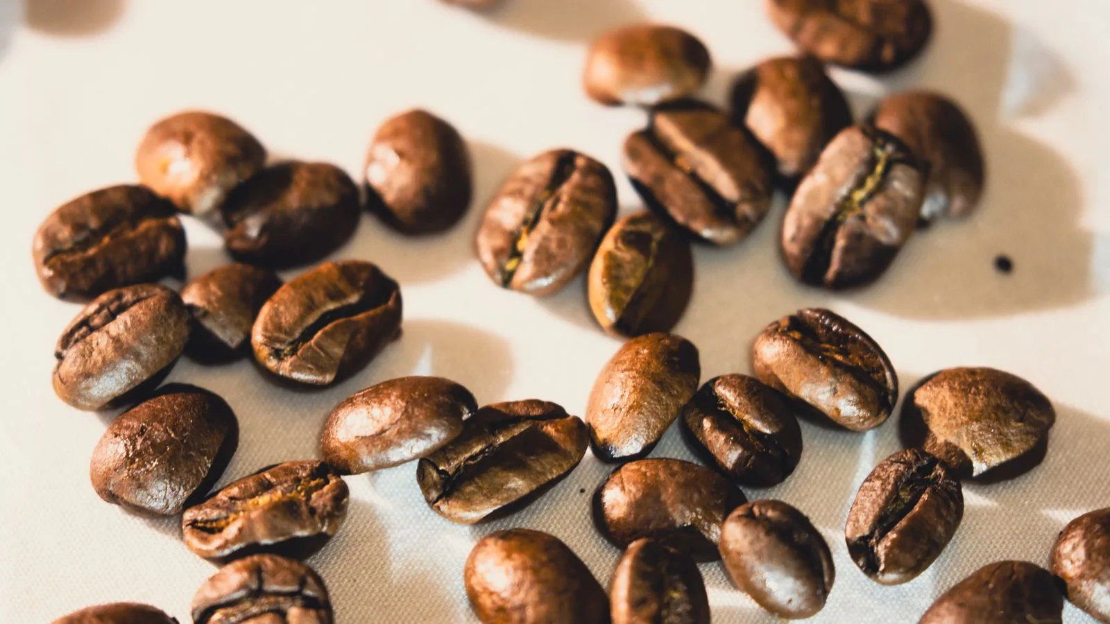 Roasted coffee beans scattered on a light surface