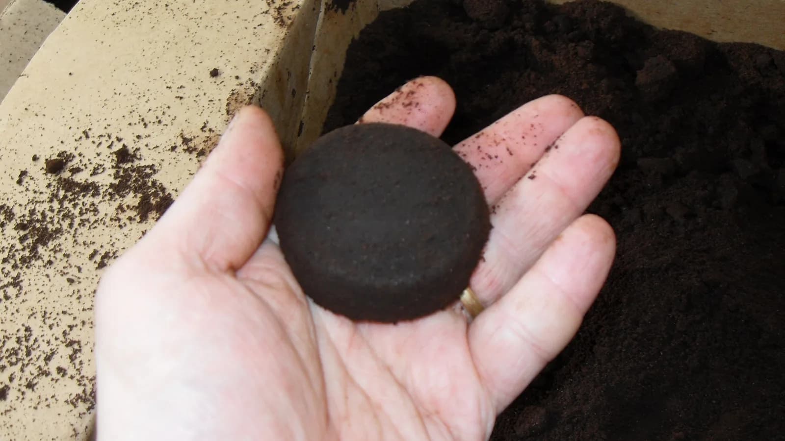Photo by Shanegenziuk on Wikimedia Commons (CC BY 3.0) A hand holding a whole used coffee puck over a cardboard box of spent coffee grounds